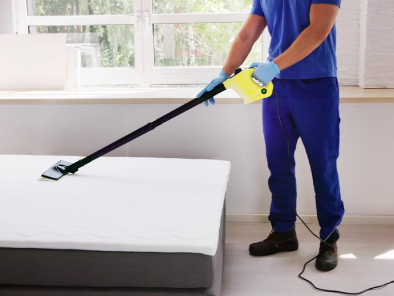 Cleaning,Bed,Mattress,With,Steam,Machine.,Bed,Bugs,Treatment