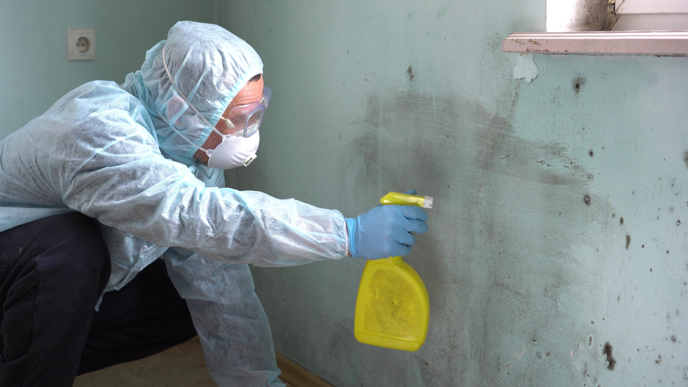 Cleaning,Up,Mold.,A,Man,Cleaning,Mold,From,Wall,Using